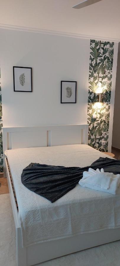 Moinhos A Sombra Villa Pedrogao  Екстериор снимка